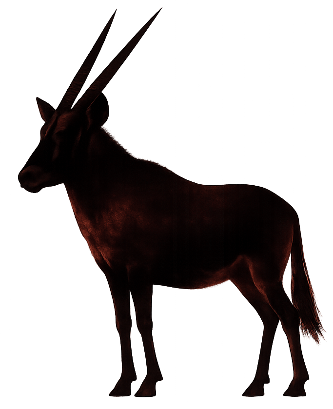 Red Oryx silhouette